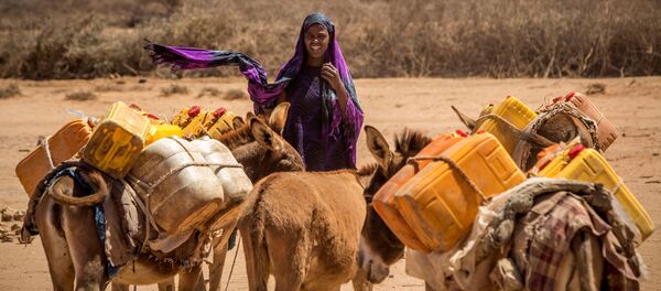 مراعي الصومال - سبوتنيك عربي