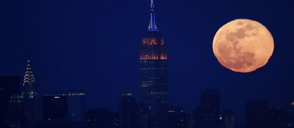 بدر كامل على خلفية برج امباير ستيت في مدينة نيويورك، الولايات المتحدة 12 مارس/ آذار 2017 - سبوتنيك عربي