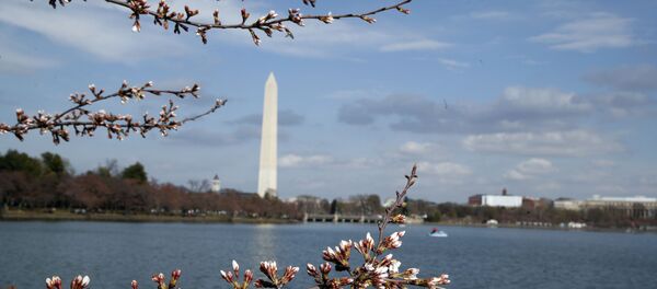 الربيع في واشنطن، الولايات المتحدة 18 مارس/ آذار 2017 - سبوتنيك عربي