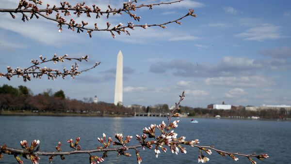 الربيع في واشنطن، الولايات المتحدة 18 مارس/ آذار 2017 - سبوتنيك عربي