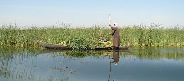 أهوار العراق - سبوتنيك عربي