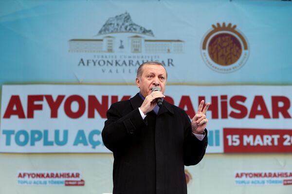 رئيس تركيا رجب طيب إردوغان، 15 مارس/ آذار 2017 - سبوتنيك عربي