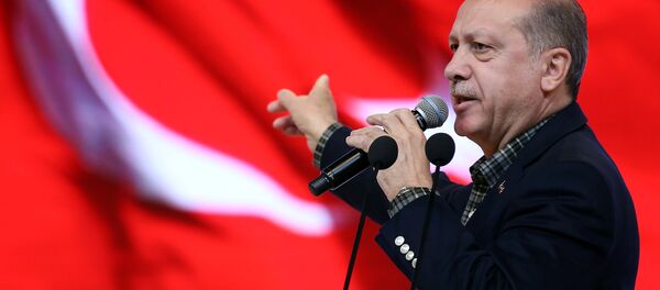 رئيس تركيا رجب طيب إردوغان في اسطنبول - سبوتنيك عربي