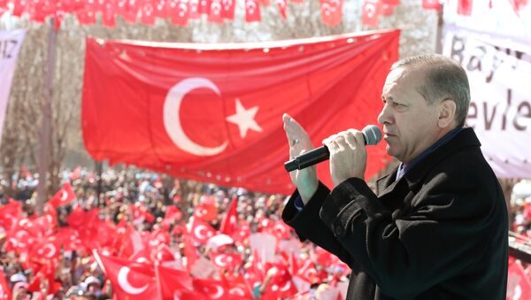 رئيس تركيا رجب طيب إردوغان في غازي عنتاب، 19 فبراير/ شباط 2017 - سبوتنيك عربي