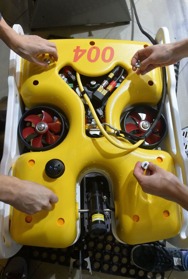 مارلين - سبوتنيك عربي