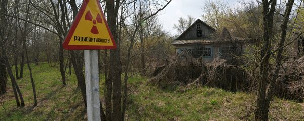 تشرنوبل - سبوتنيك عربي