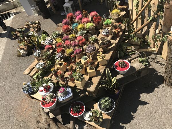 مهرجان الزهور في لبنان - سبوتنيك عربي