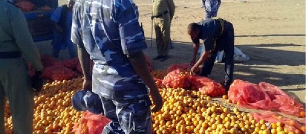 عملية إتلاف البرتقال المصري عملية إتلاف البرتقال المصري - سبوتنيك عربي