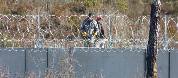محتجون يقفون على الحدود التركية وينددون بالجدار الإسمنتي - سبوتنيك عربي
