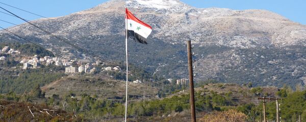 محتجون يقفون على الحدود التركية وينددون بالجدار الإسمنتي - سبوتنيك عربي