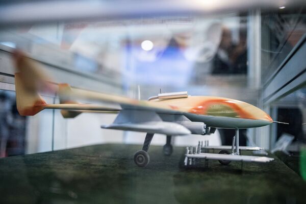 نموذج مصغر لطائرة حربية بدون طيار - سبوتنيك عربي