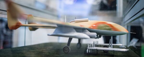 نموذج مصغر لطائرة حربية بدون طيار - سبوتنيك عربي