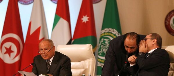 أحمد أبو الغيط - سبوتنيك عربي