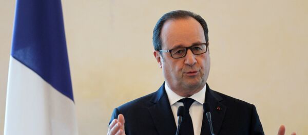 هولاند في إندونيسيا - سبوتنيك عربي