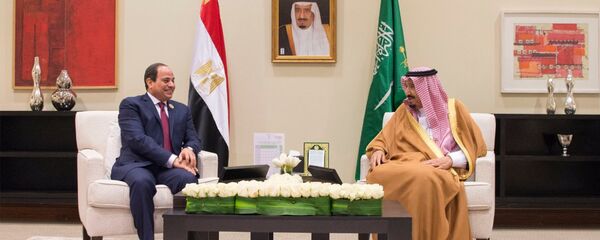 السيسي وسلمان في البحر الميت - سبوتنيك عربي