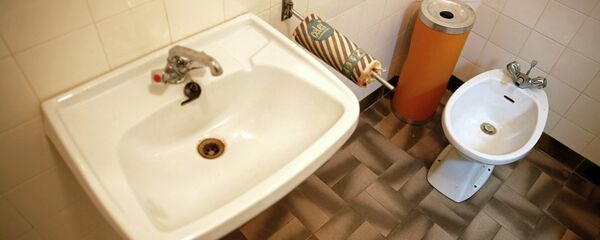 مرحاض مرحاض - سبوتنيك عربي