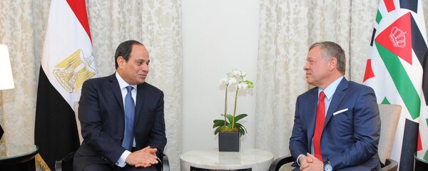 السيسي وملك الأردن السيسي وملك الأردن - سبوتنيك عربي