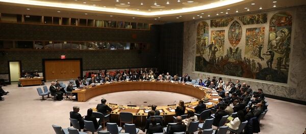 مجلس الأمن مجلس الأمن - سبوتنيك عربي