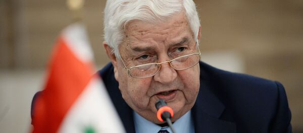 وزير الخارجية السوري وليد المعلم - سبوتنيك عربي