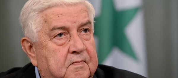 وزير الخارجية السوري وليد المعلم - سبوتنيك عربي