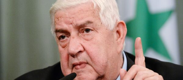 وزير الخارجية السوري وليد المعلم - سبوتنيك عربي