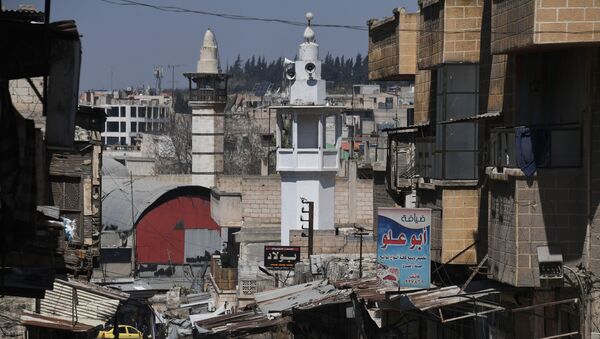 مدينة حماة، سوريا - سبوتنيك عربي