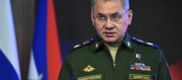 وزير الدفاع الروسي سيرغي شويغو وزير الدفاع الروسي سيرغي شويغو - سبوتنيك عربي