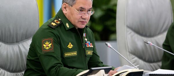 وزير الدفاع الروسي سيرغي شويغو - سبوتنيك عربي