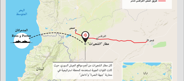 القصف الأمريكي على مطار الشعيرات العسكري السوري - سبوتنيك عربي