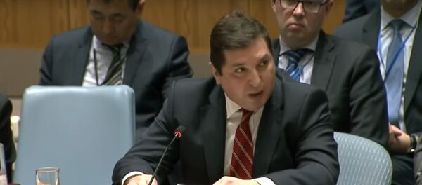 السفير الروسي لدى الأمم المتحدة فلاديمير سافرونكوف السفير الروسي لدى الأمم المتحدة فلاديمير سافرونكوف - سبوتنيك عربي