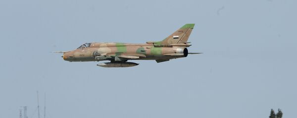 القوات الجوية السورية تستأنف الطيران الجوي من مطار القاعدة الجوية السورية الشعيرات، سوريا القوات الجوية السورية تستأنف الطيران الجوي من مطار القاعدة الجوية السورية الشعيرات، سوريا - سبوتنيك عربي