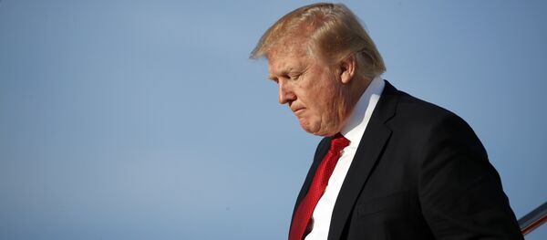 دونالد ترامب - سبوتنيك عربي