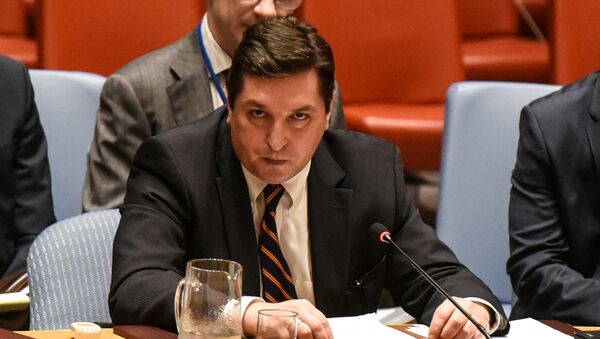 مندوب روسيا في مجلس الأمن - سبوتنيك عربي