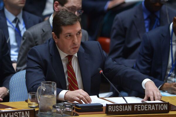 فلاديمير سافرونكوف - سبوتنيك عربي