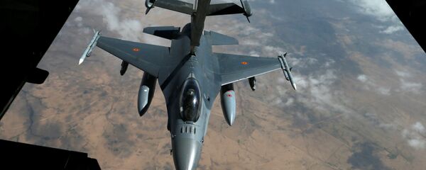 القوات الجوية الأمريكية - سبوتنيك عربي