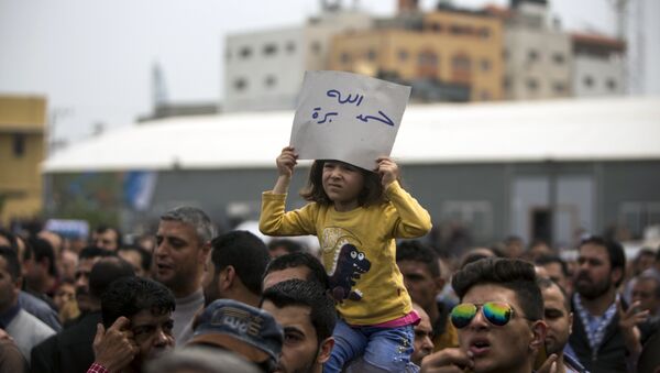 صيادون غزاويون في ميناء بحر غزة، مدينة غزة، قطاع غزة، فلسطين 8 أبريل/ نيسان 2017 - سبوتنيك عربي