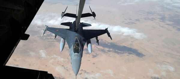 القوات الجوية الأمريكية - سبوتنيك عربي