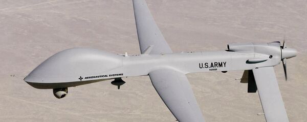 طائرة النسر الرمادي طائرة النسر الرمادي - سبوتنيك عربي