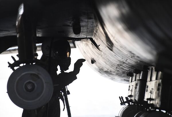 ميغ-21 - استئناف عمل القاعدة الجوية السورية الشعيرات - سبوتنيك عربي