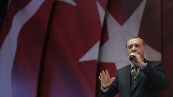 رئيس تركيا رجب طيب إردوغان خلال تجمع المظاهرات بخصوص الدستور التركي - سبوتنيك عربي