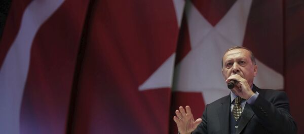 رئيس تركيا رجب طيب إردوغان خلال تجمع المظاهرات بخصوص الدستور التركي - سبوتنيك عربي