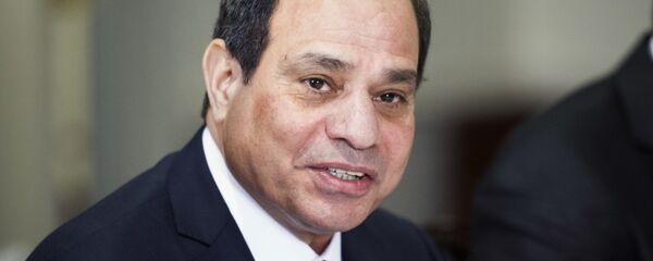 رئيس مصر عبدالفتاح السيسي خلال اللقاء مع وزير دفاع الولايات المتحدة جيم ماتيس في البنتاغون، 5 أبريل/ نيسان 2017 - سبوتنيك عربي