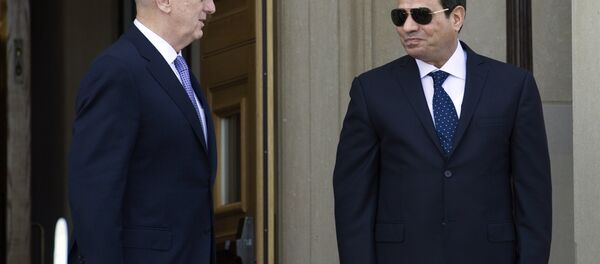 رئيس مصر عبدالفتاح السيسي خلال اللقاء مع وزير دفاع الولايات المتحدة جيمس ماتيس في البنتاغون، 5 أبريل/ نيسان 2017 - سبوتنيك عربي