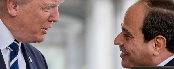 رئيس مصر عبدالفتاح السيسي خلال اللقاء مع رئيس الولايات المتحدة دونالد ترامب، 3 أبريل/ نيسان 2017 - سبوتنيك عربي