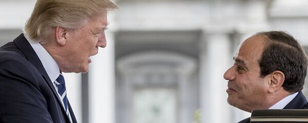 رئيس مصر عبدالفتاح السيسي خلال اللقاء مع رئيس الولايات المتحدة دونالد ترامب، 3 أبريل/ نيسان 2017 - سبوتنيك عربي