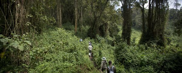 رواندا - سبوتنيك عربي