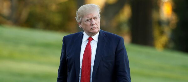 دونالد ترامب - سبوتنيك عربي