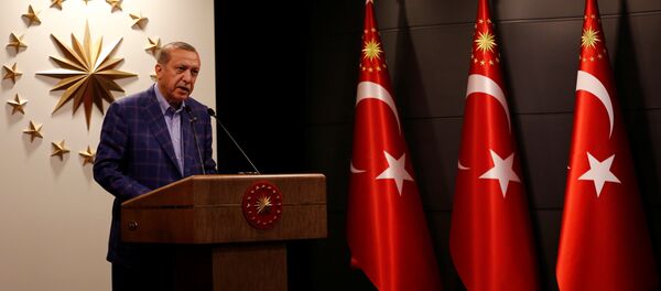 أردوغان - سبوتنيك عربي