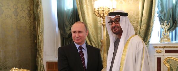 فلاديمير بوتين يلتقي ولي عهد إمارة أبو ظبي - سبوتنيك عربي