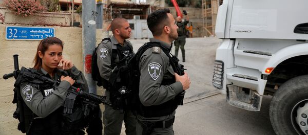 عناصر من الشرطة الإسرائيلية عناصر من الشرطة الإسرائيلية - سبوتنيك عربي